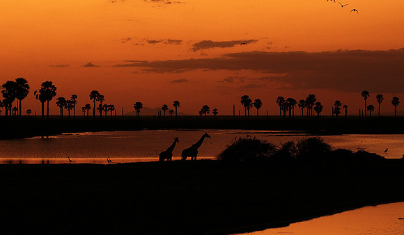 Sunset - Zelous
