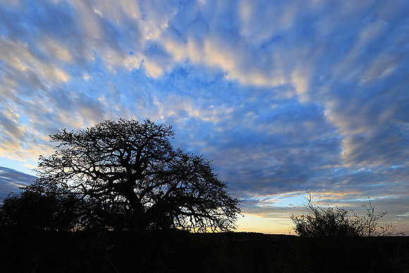 Sunset - Zelous