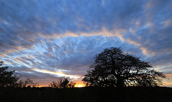 Sunset - Zelous