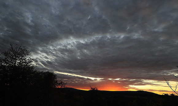 Sunset - Zelous