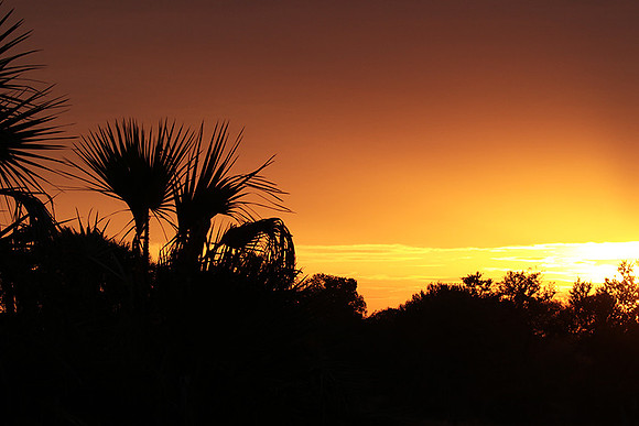 Sunset - Zelous