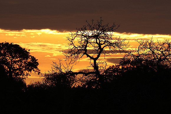 Sunset - Zelous