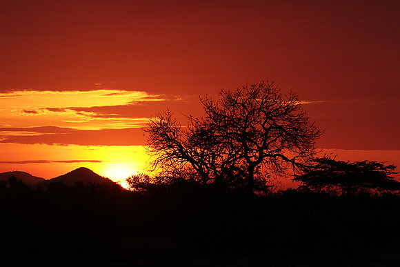 Sunset - Zelous