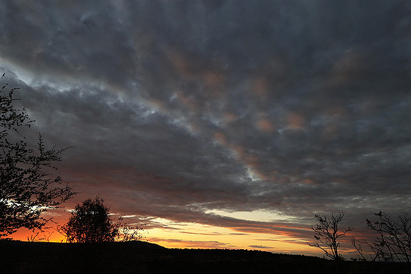 Sunset - Zelous