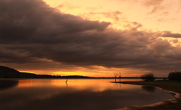 Sunset - Zelous