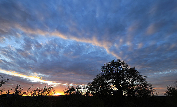 Sunset - Zelous