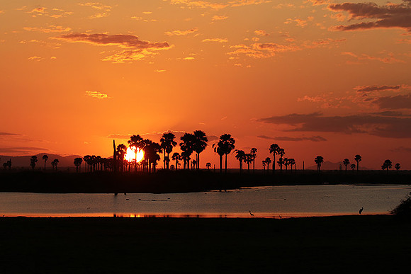 Sunset - Zelous