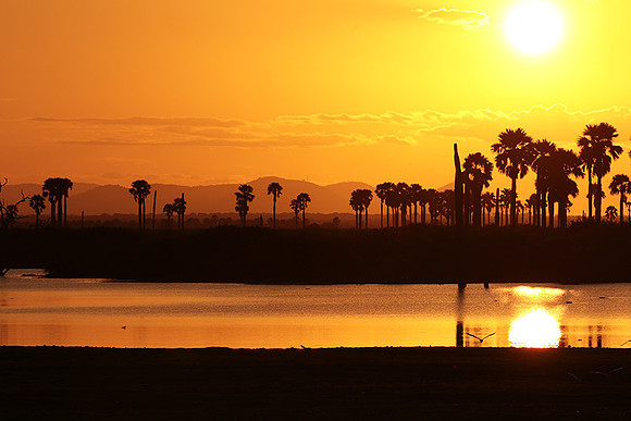 Sunset - Zelous