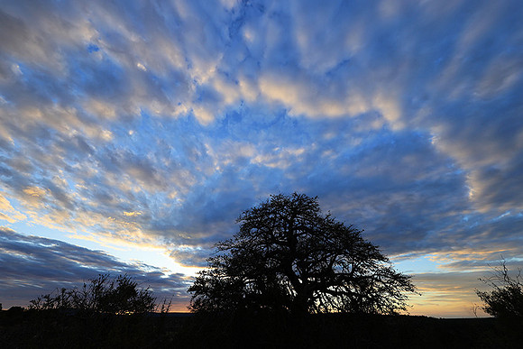 Sunset - Zelous