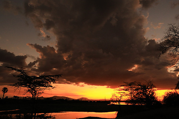 Sunset - Zelous