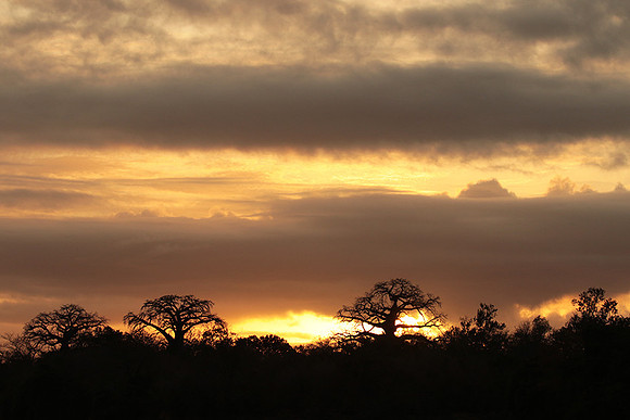Sunset - Zelous