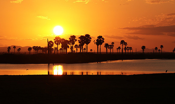 Sunset - Zelous