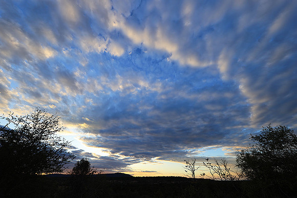 Sunset - Zelous