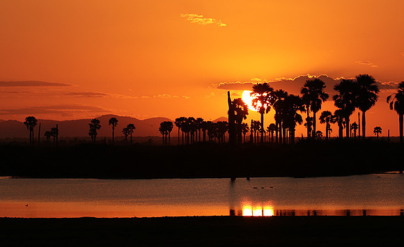 Sunset - Zelous