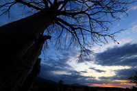 Sunset - Zelous
