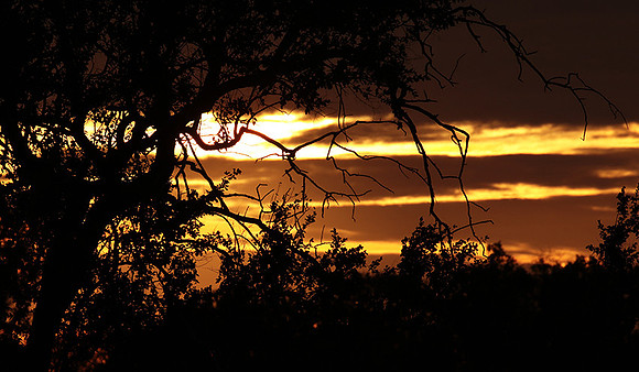 Sunset - Zelous