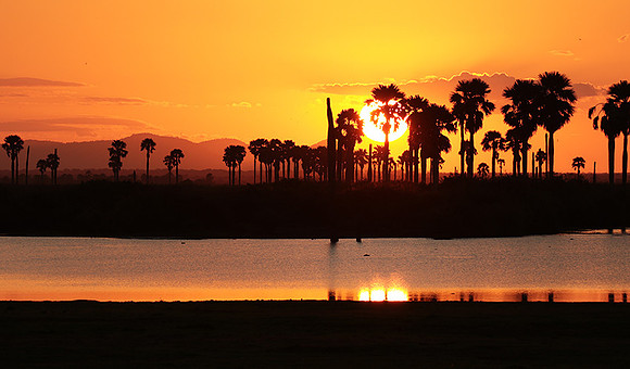 Sunset - Zelous