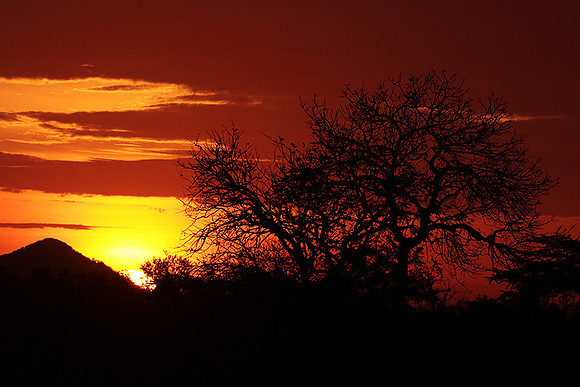 Sunset - Zelous