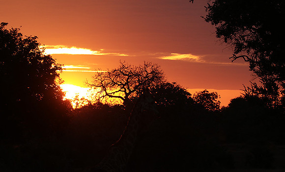 Sunset - Zelous