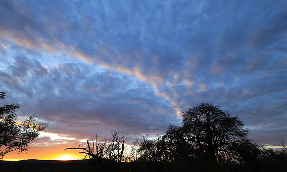 Sunset - Zelous