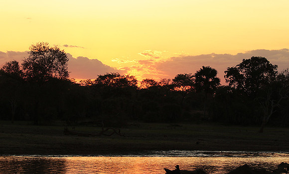 Sunset - Zelous