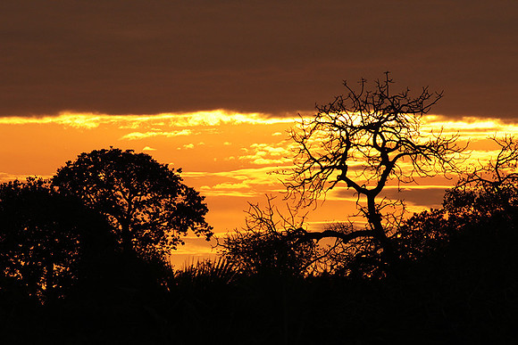 Sunset - Zelous