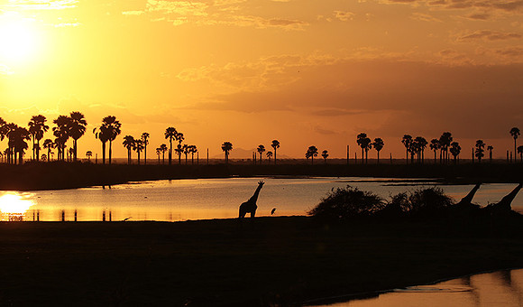 Sunset - Zelous