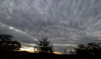 Sunset - Zelous