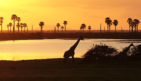 Sunset - Zelous