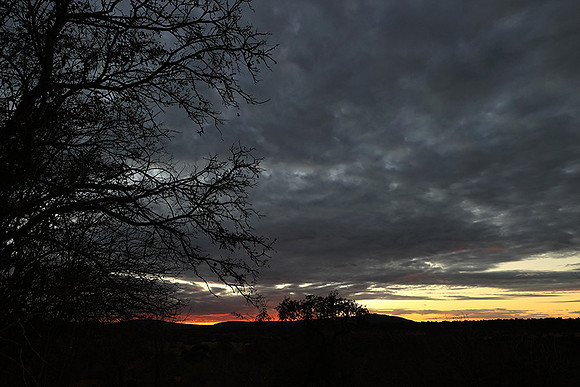 Sunset - Zelous