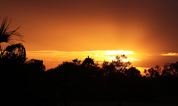 Sunset - Zelous