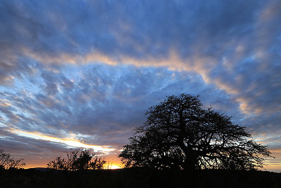 Sunset - Zelous