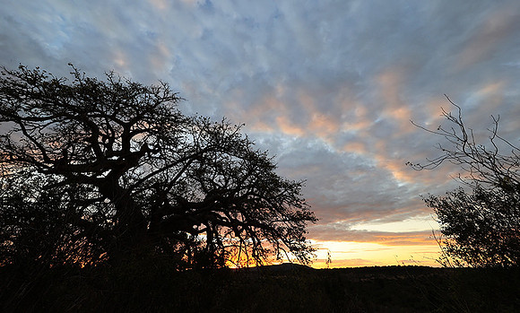 Sunset - Zelous