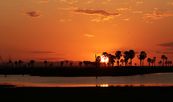 Sunset - Zelous