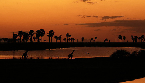 Sunset - Zelous
