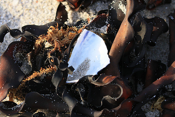 Beach debris - Est west coast - South Africa