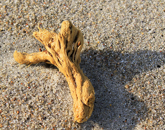 Beach debris - Est west coast - South Africa