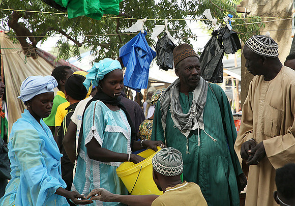 Bush market
