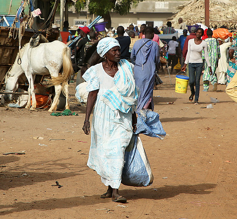 Bush market