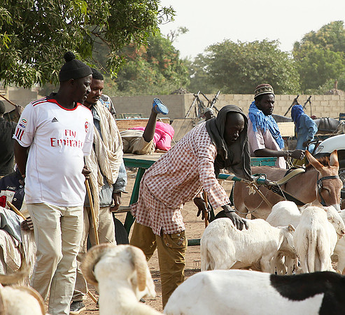 Bush market