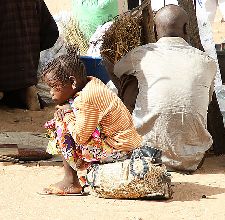 Bush market