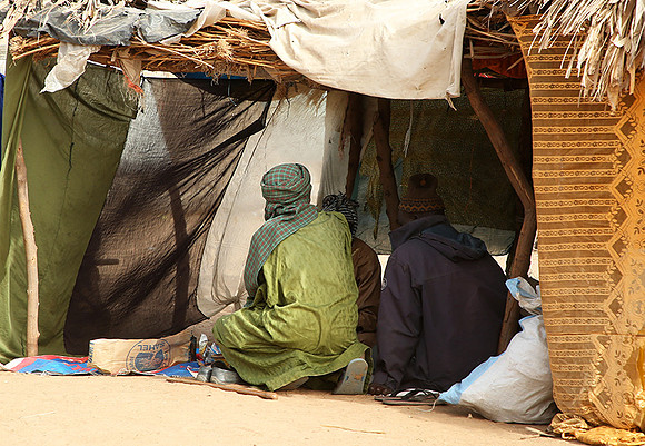 Bush market