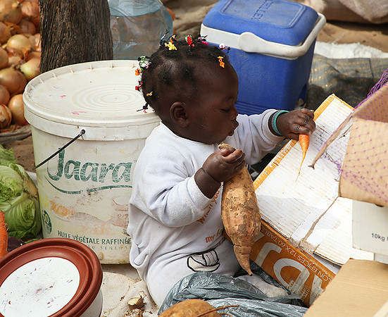 Bush market