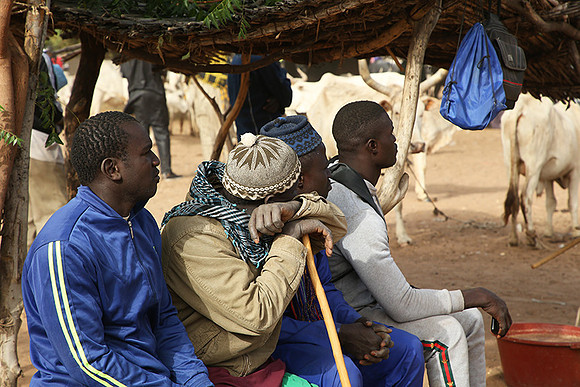Bush market