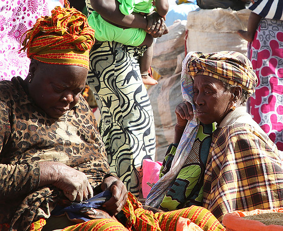 Bush market