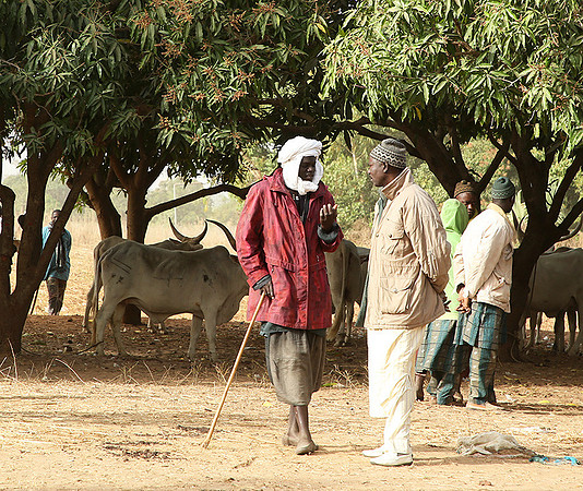 Bush market