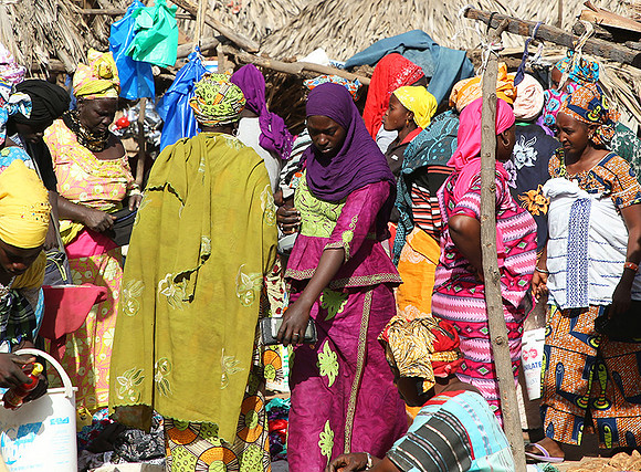 Bush market