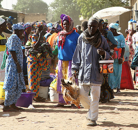 Bush market