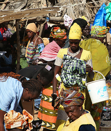 Bush market
