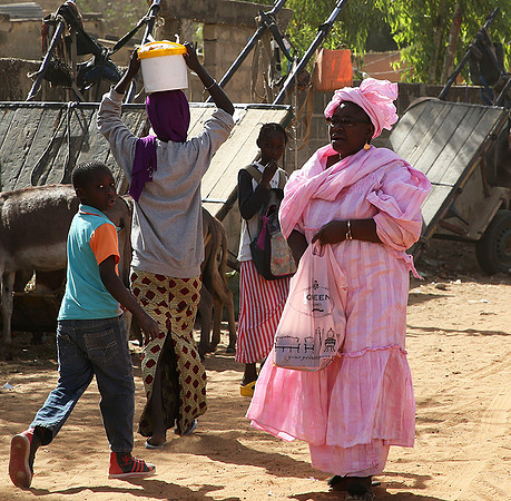 Bush market